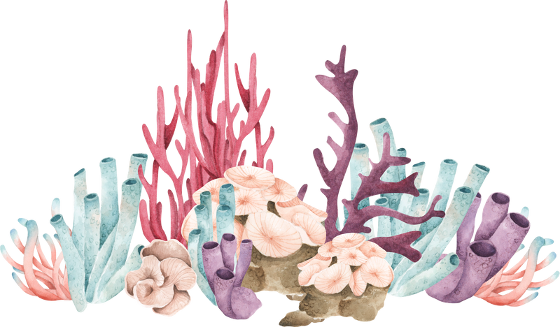 Coral Center